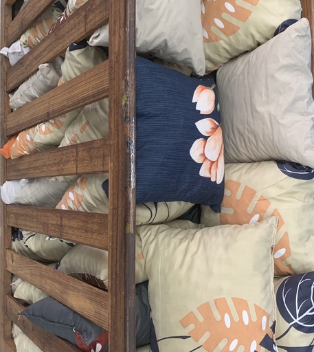 Coussin divers